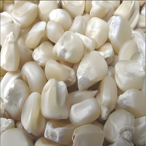 White Corn  2 LBS