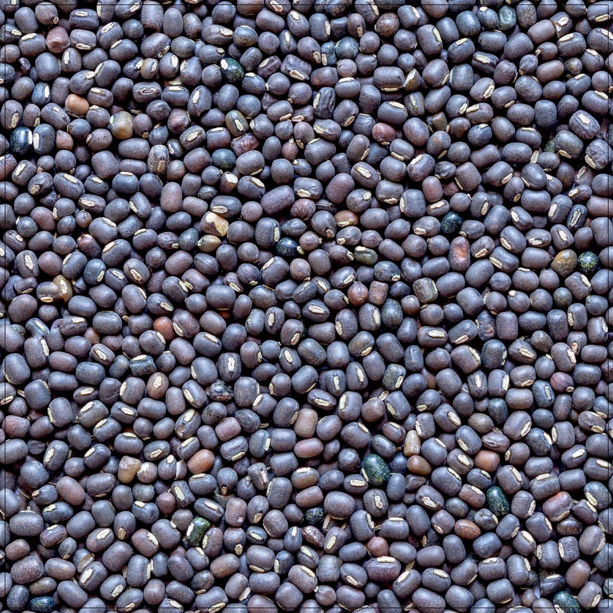 Asli Urad Dal 4 LBS