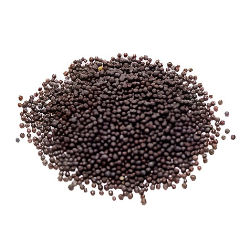 MUSTARD SEED BLK 200 Gm