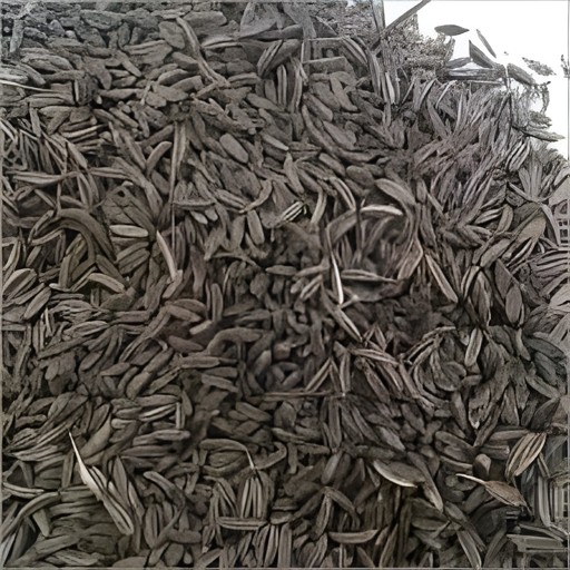 MASHAL WHEAT PELTED 1.5 LBS