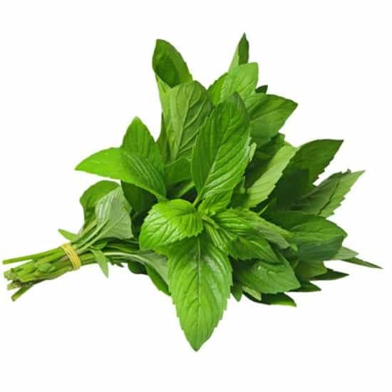 Mashal Mint Leaves  57 GM