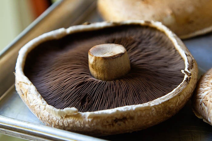 NC ORGANIC PORTOBELLO MUSHROOM 1.5 Lbs