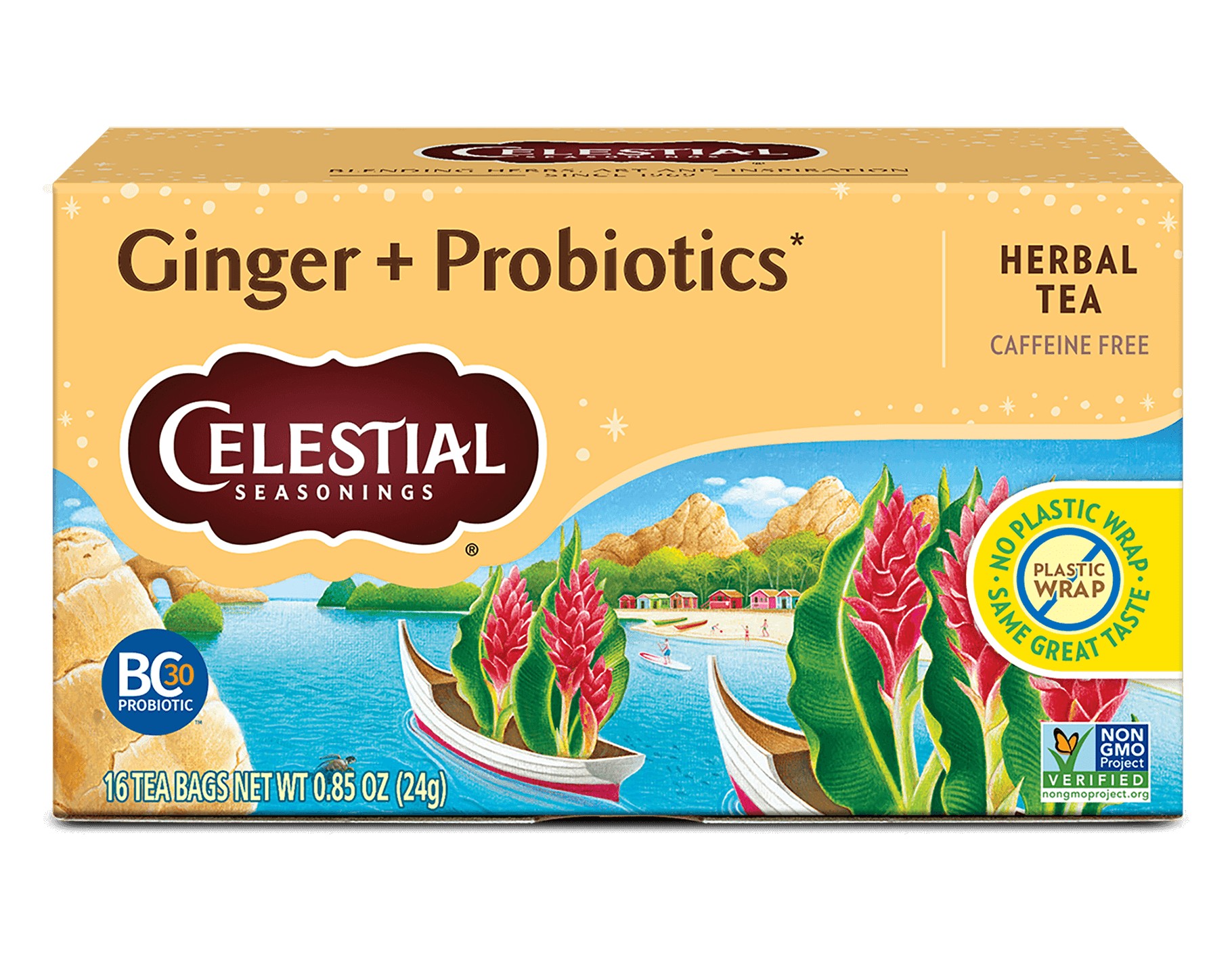 Ginger Probiotics 1.1 OZ