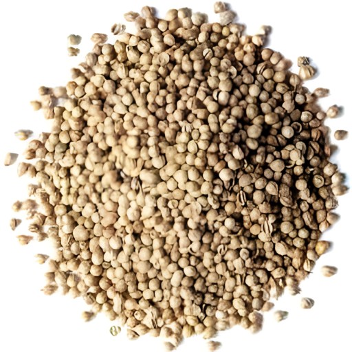 MIMIS CORRIANDER SEED 57 GM