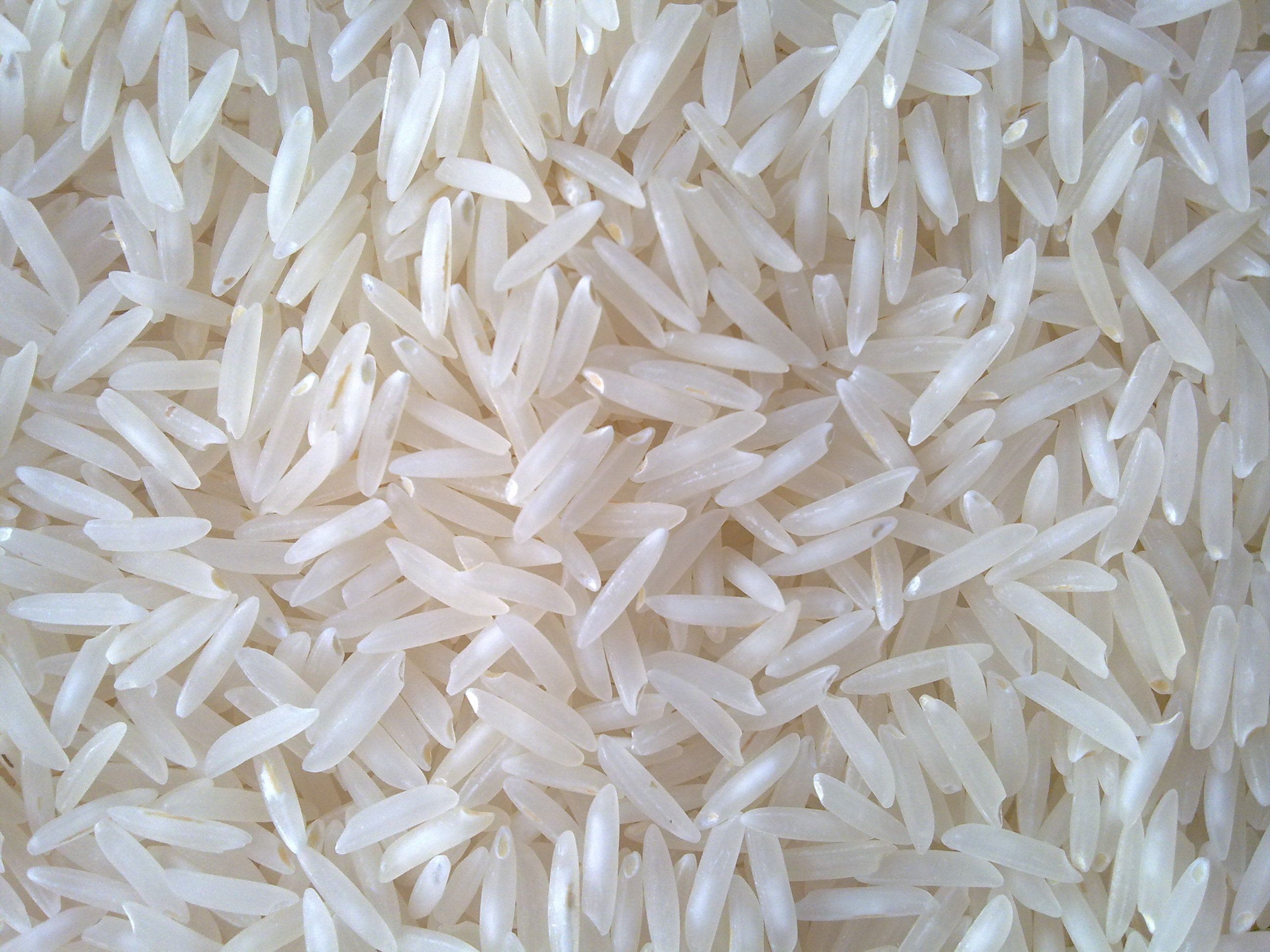 Shrea Crystal Sona Masoori Rice 20 LBS