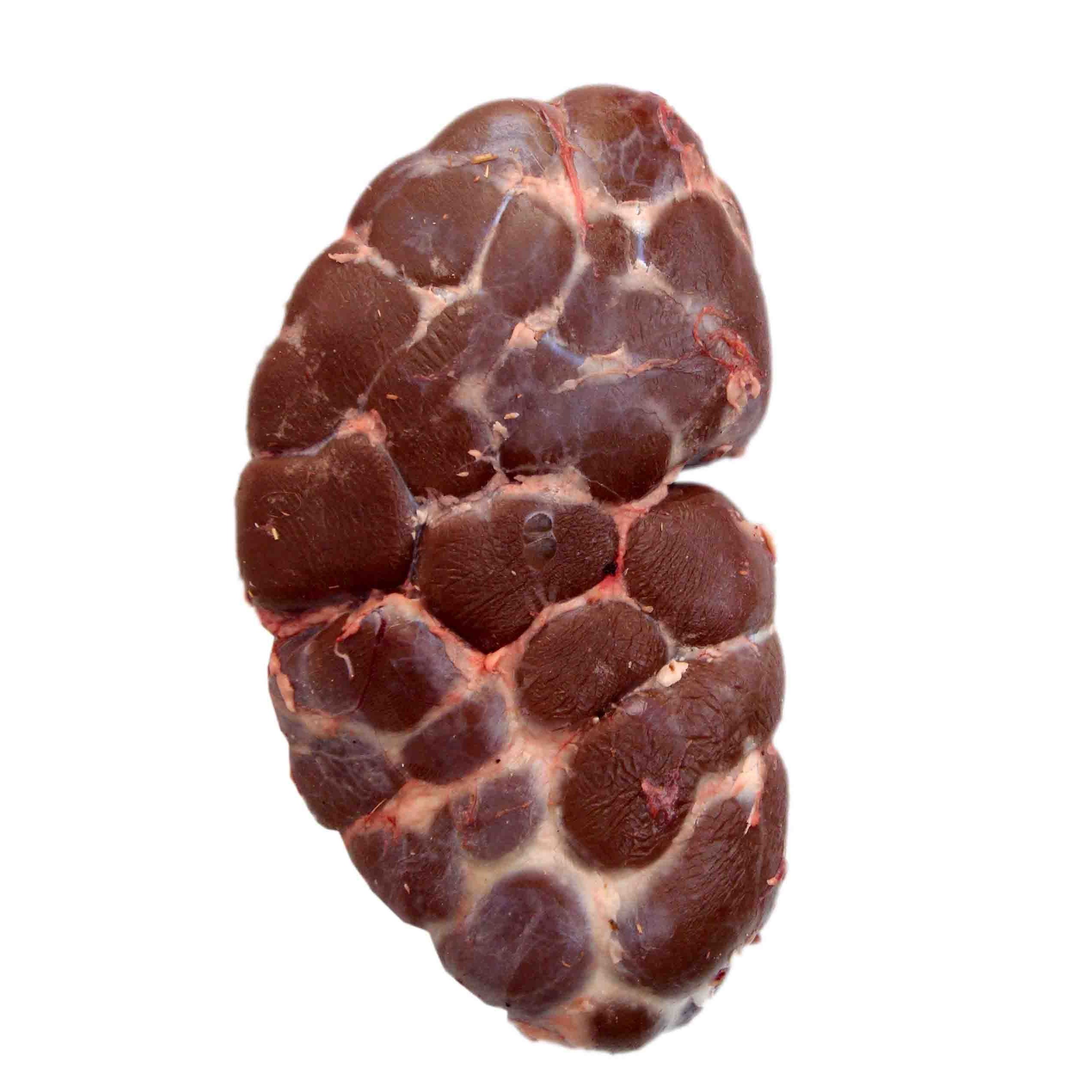 Beef Kidney 2 LBS