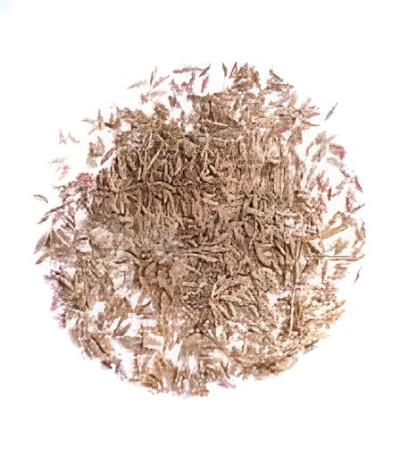 DK Cumin Seeds 100 GM