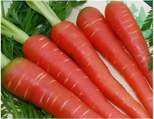 WHOLE CARROT BAG 1 LBS