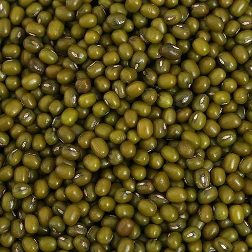 DEER GREEN LENTIL 1 PACK