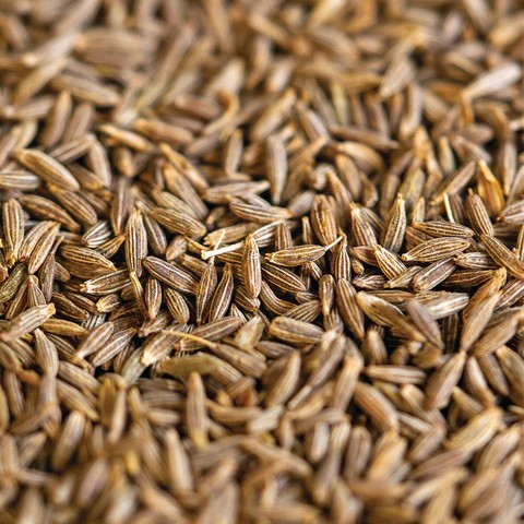 Cumin Seeds 5 LBS