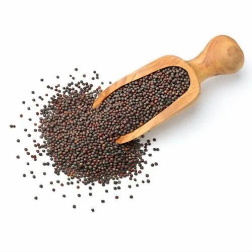 Deer Mustard Seed (Small) 7 OZ