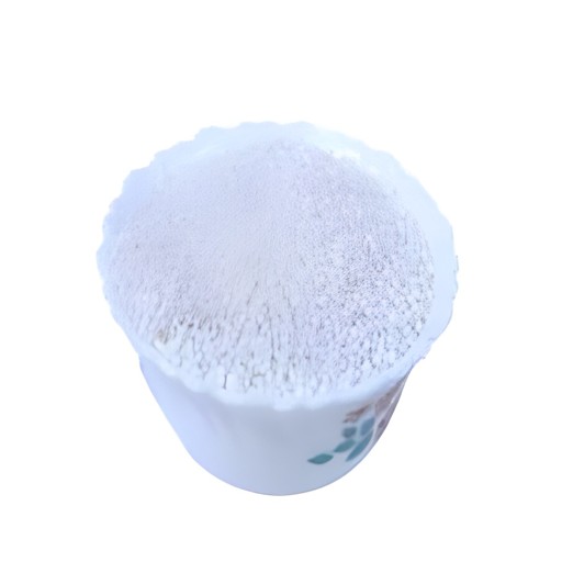 SHUBHAM SABUDANA BEST FOOD 2 LBS