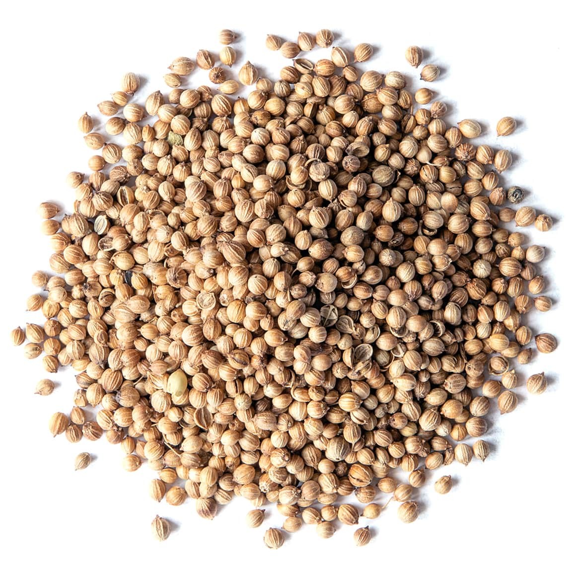 Deer 360 Organic Coriander Seeds 7 OZ