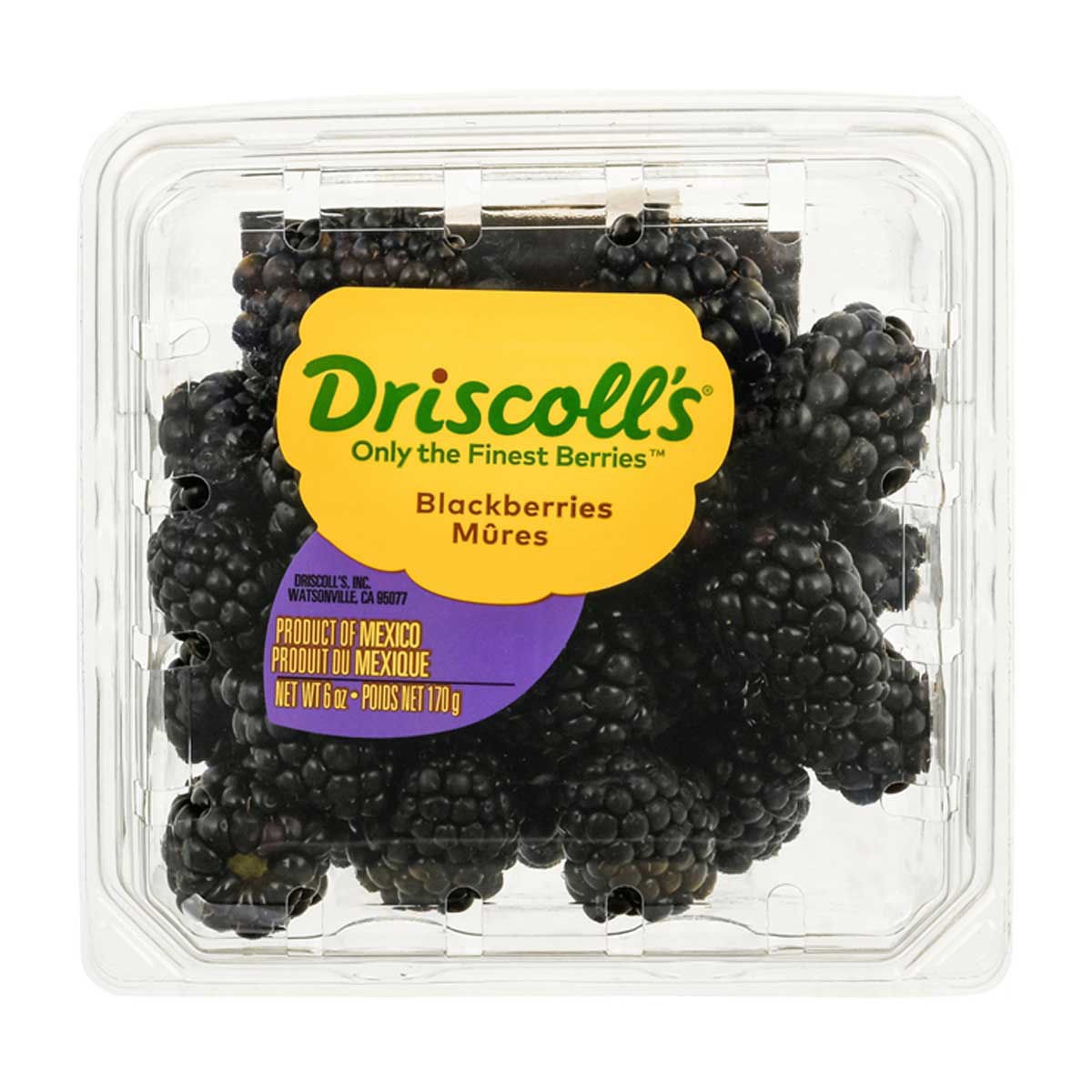 Driscolls BLACK BERRIES 6 OZ