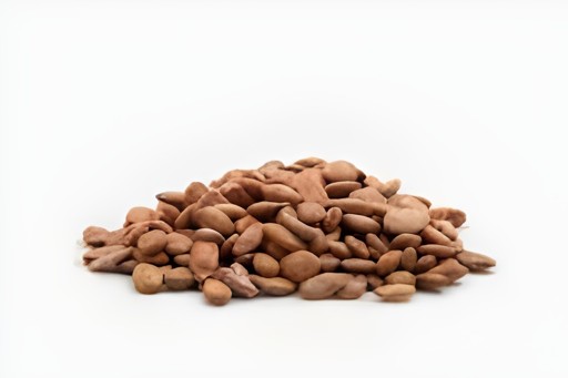Ariana Jumbo Red Melon Seeds 8 OZ