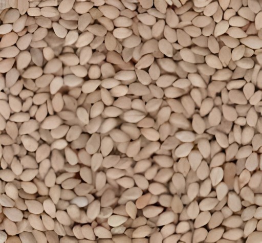 Shresth Sesa Seed B 56 OZ