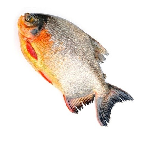 Rupchanda Fish, Whole (size 300 400 Fish) 4 LBS