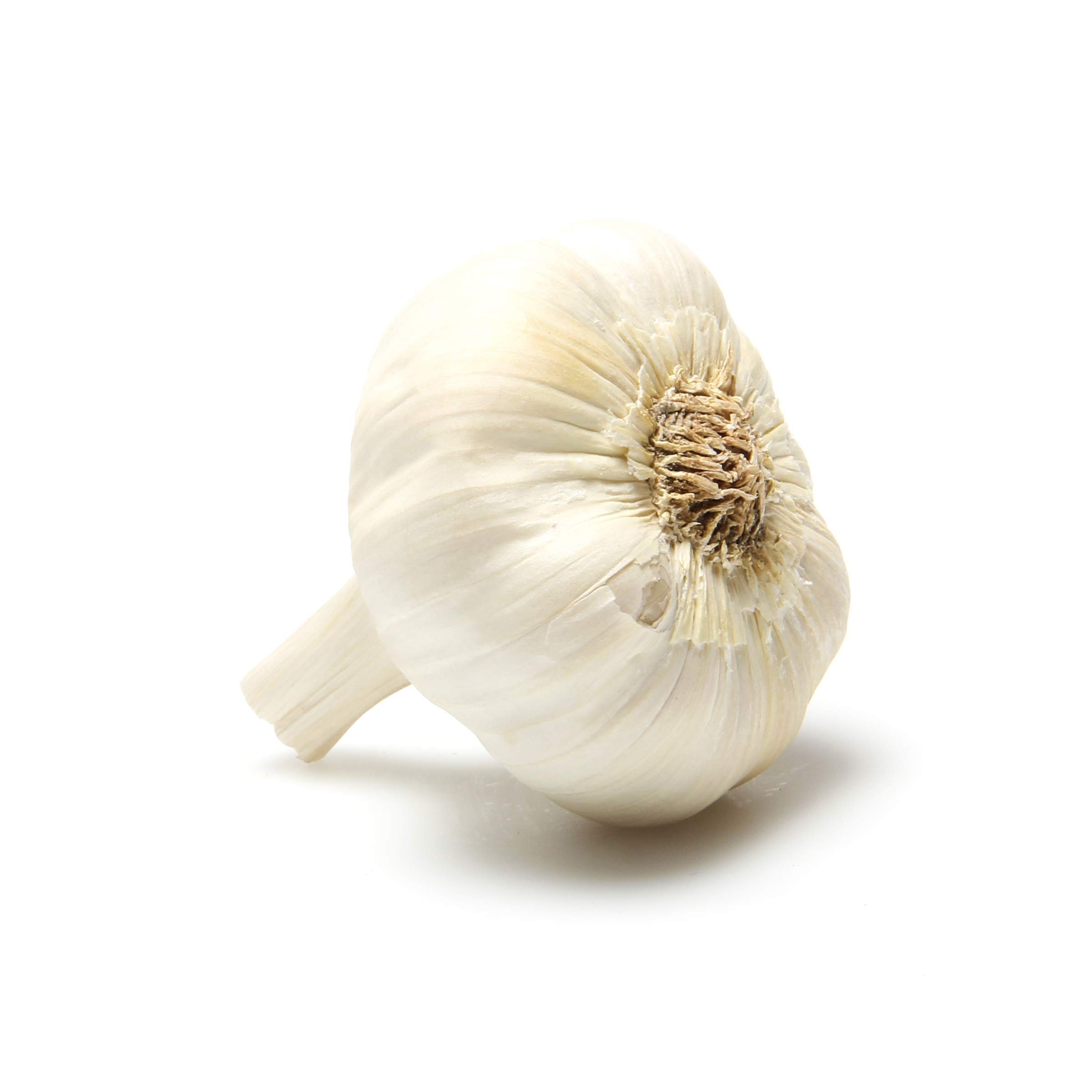 GARLIC 1 EACH