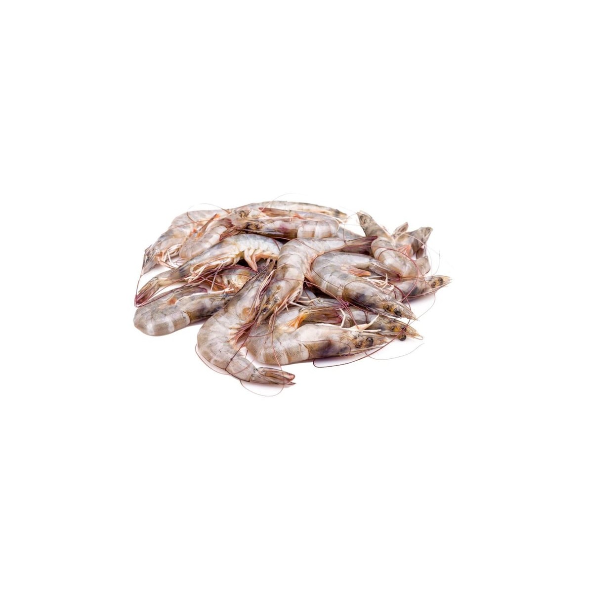 Shrimp Large 3 LBS