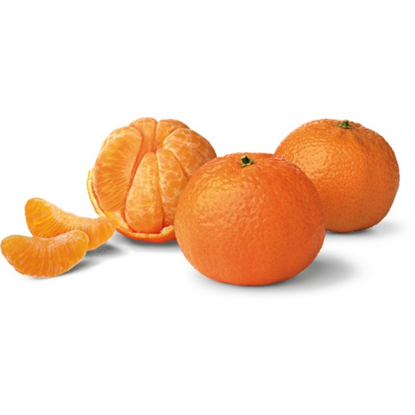 HALO ORANGE BAG 3 LBS