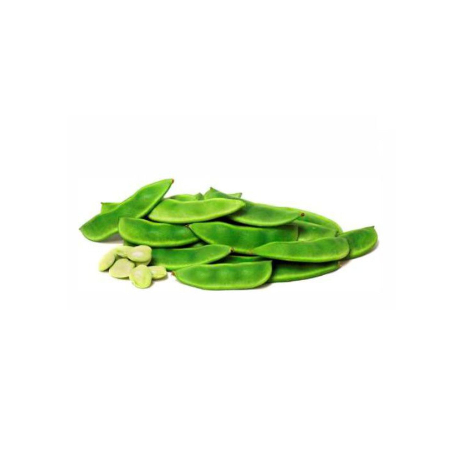 Laxmi Surti Papdi 310 GM