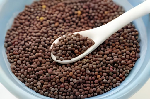 Laxmi Mustard Seed 4 LBS