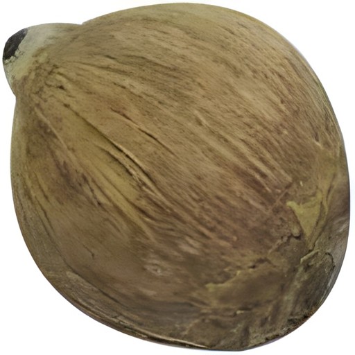 Lx WHOLE COCONUT 10 LTR