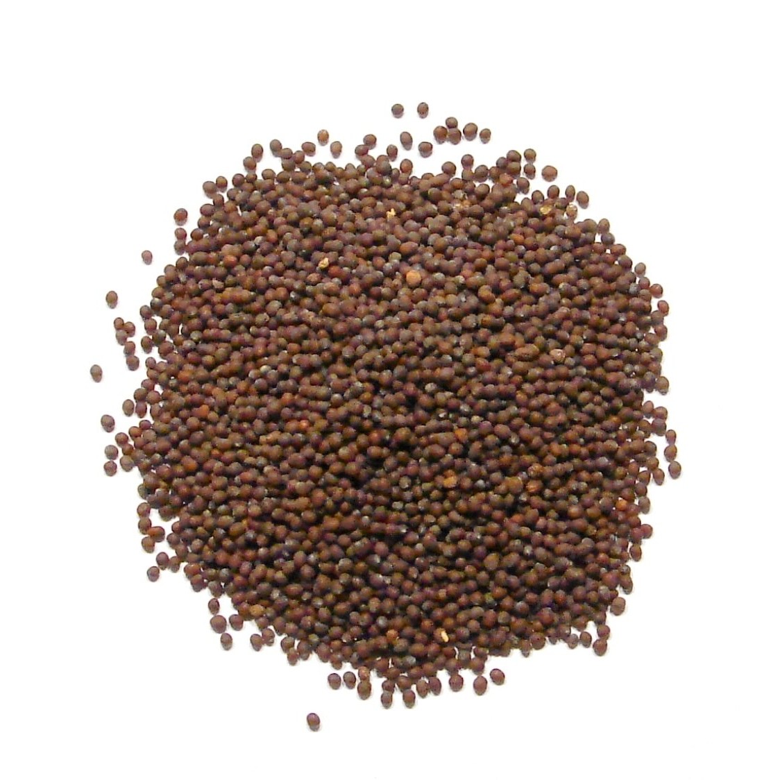 LX MUSTARD SEED 200 Gm