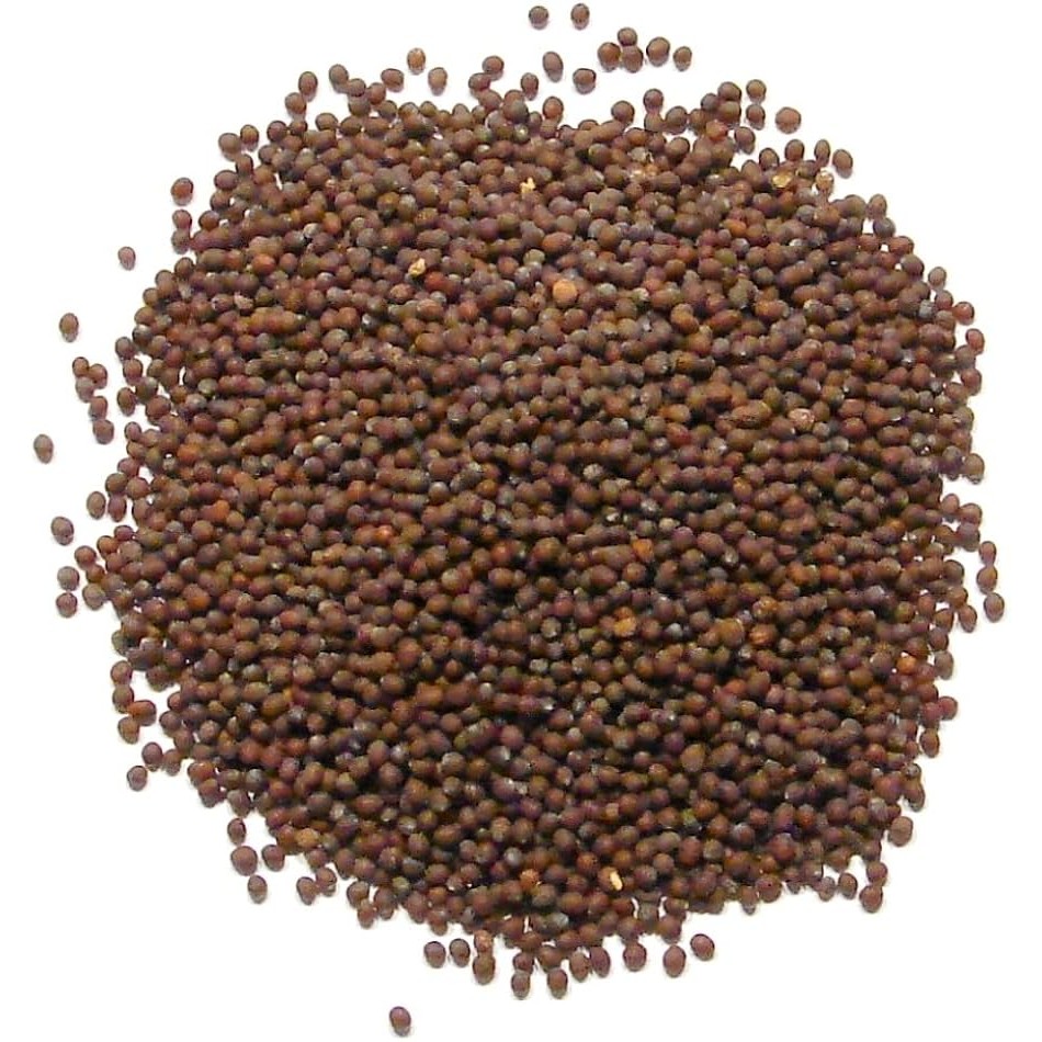 Laxmi Mustard Seed 4 LBS