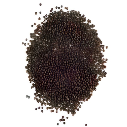 LAXMI MUSTARD SEEDS  800 GM