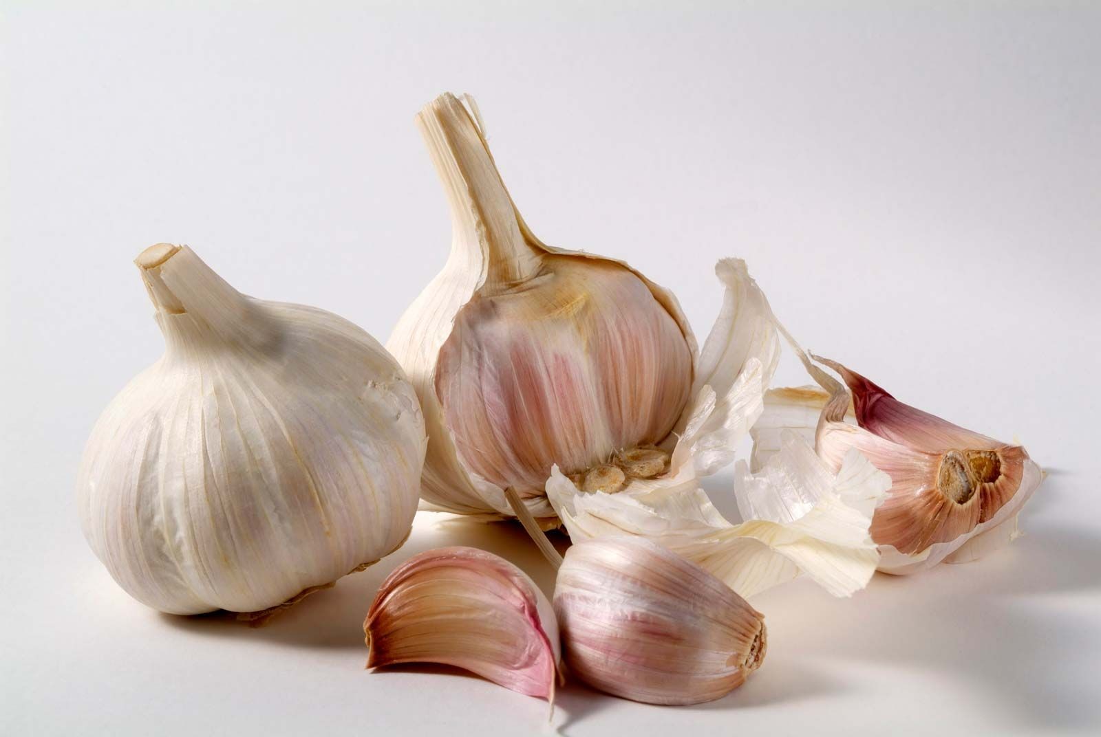 Garlic  1 PCS
