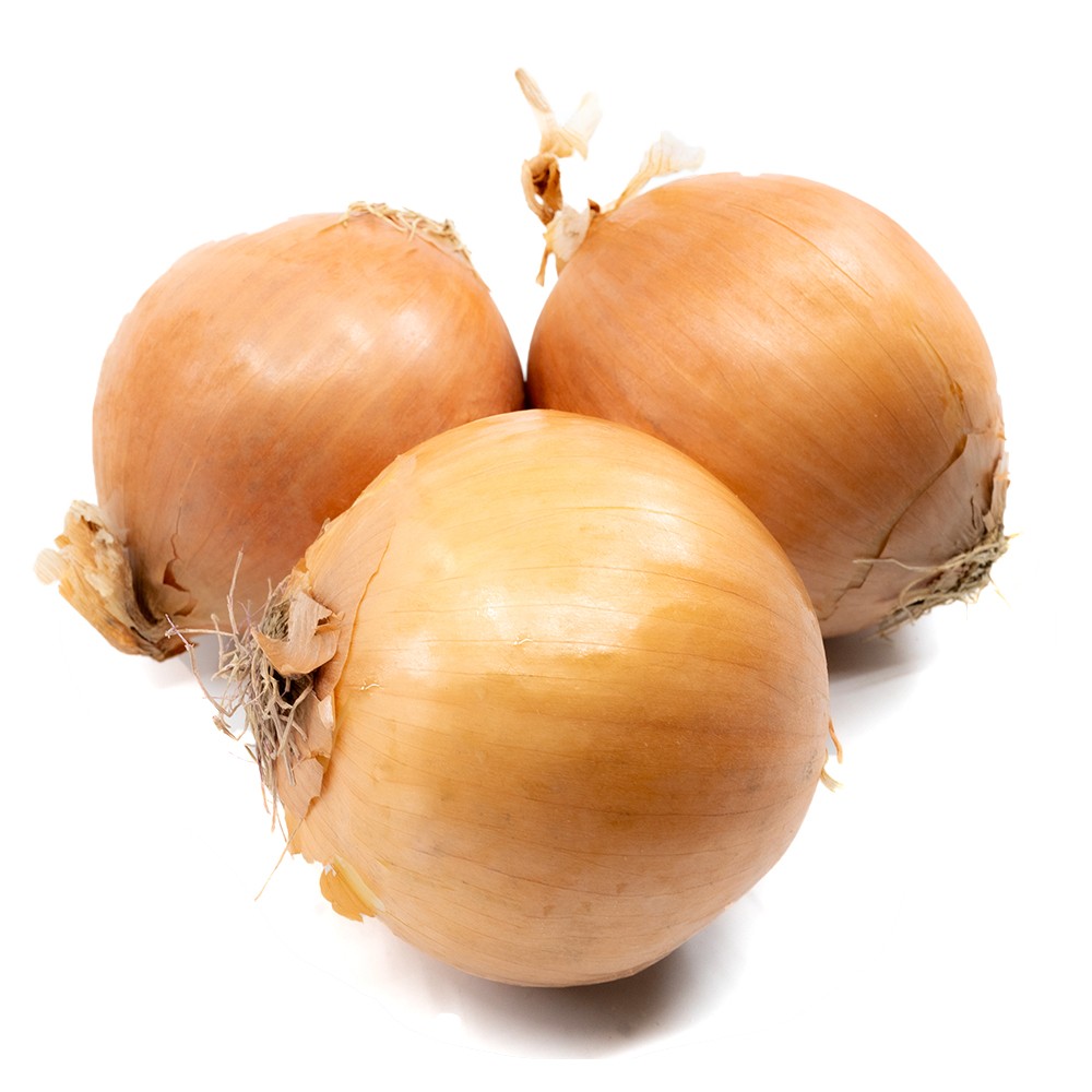 Yellow Onions  10 LBS