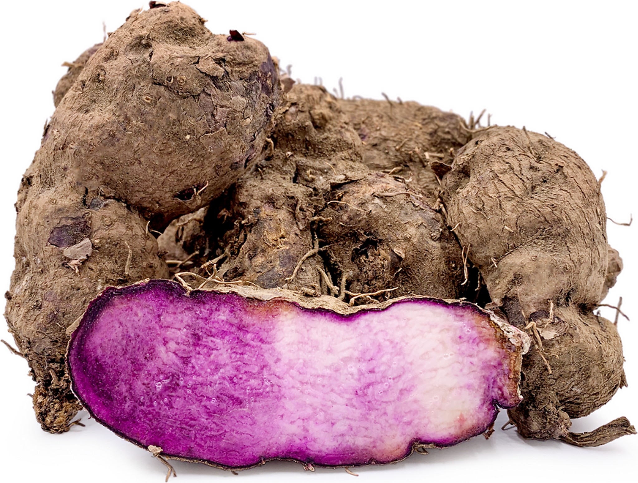 RATALU 1 LBS