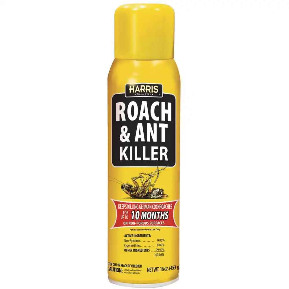 Roach Ant Killer 1 EACH