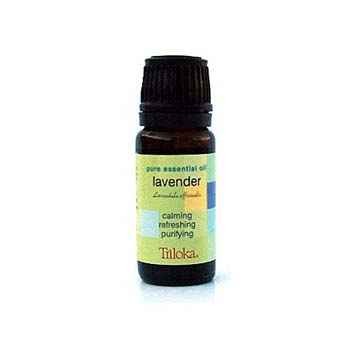 Triloka Lavender Essential Oil 1 EACH