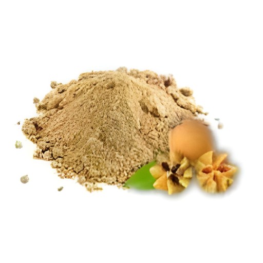 EXOTIC CHIKOO POWDER 100 GM