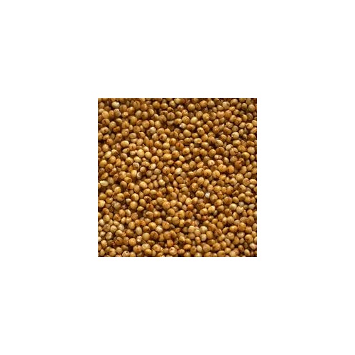 Amaravati Millet Kodri 2 LBS