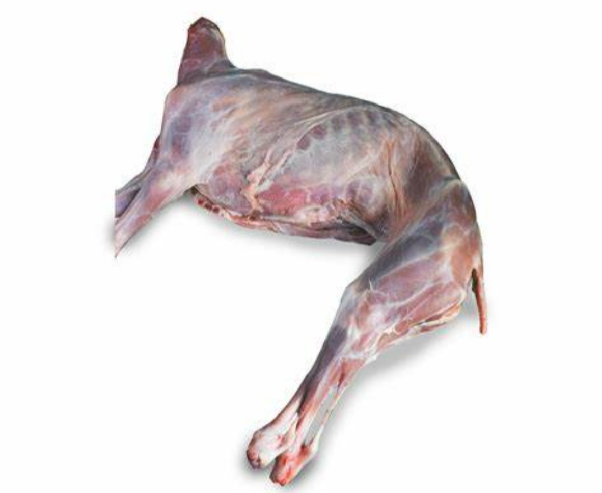 BABY GOAT HALF 1 LBS