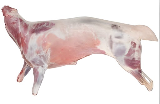 BABY GOAT WHOLE 1 LBS