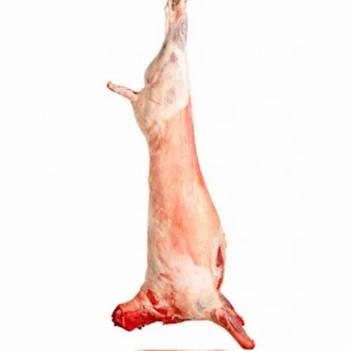 BABY LAMB HALF 1 LBS