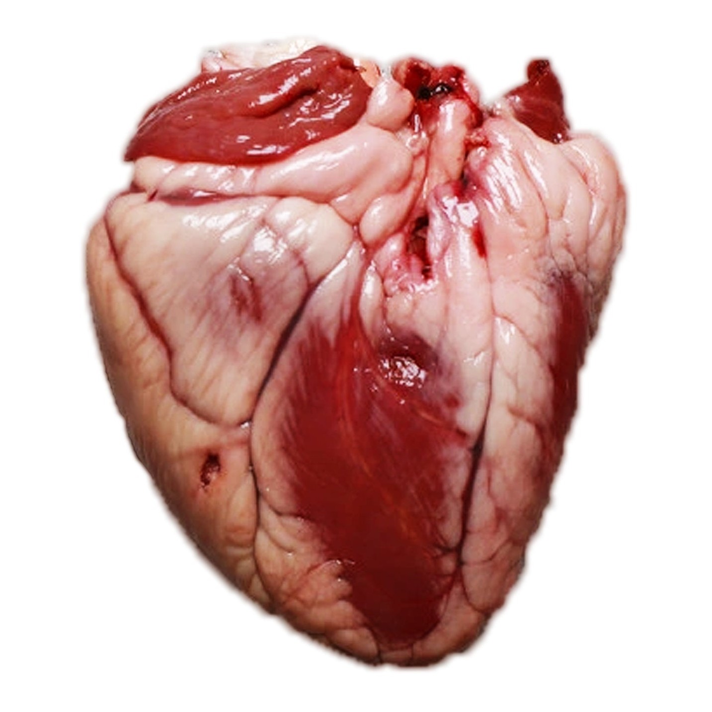 BABY LAMB HEART 1 LBS