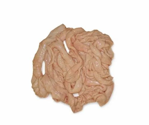 BEEF INTESTINE 1 LBS