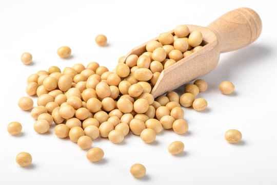 Rato White Soya Bean 908 GM