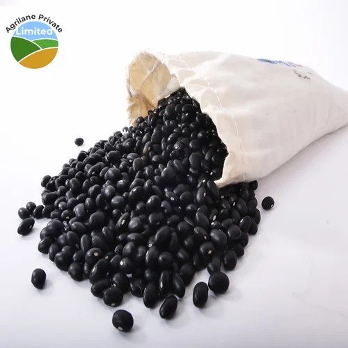Rato Blk Must Beans 800 GM