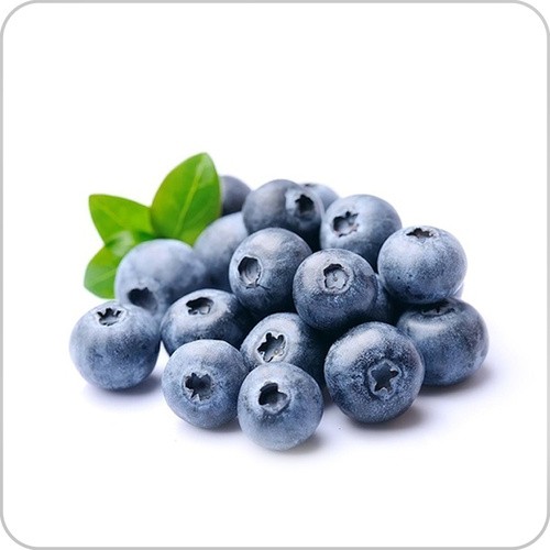 GELATIN BLUBERRY                         4.2 OZ