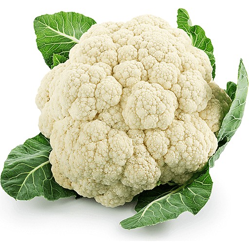 Foxy Califlower 1 LBS