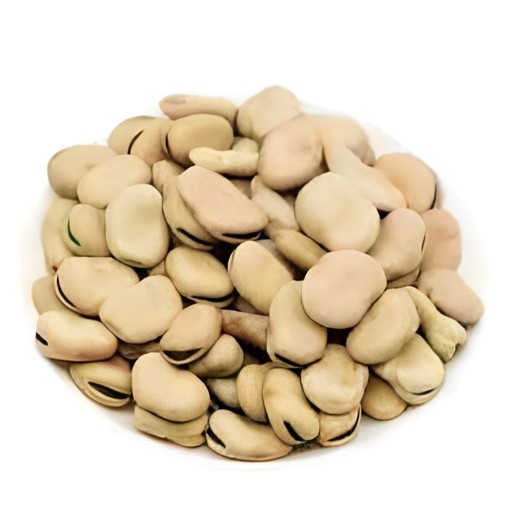 TZ Cooked Broad Fava Bean 454 GM