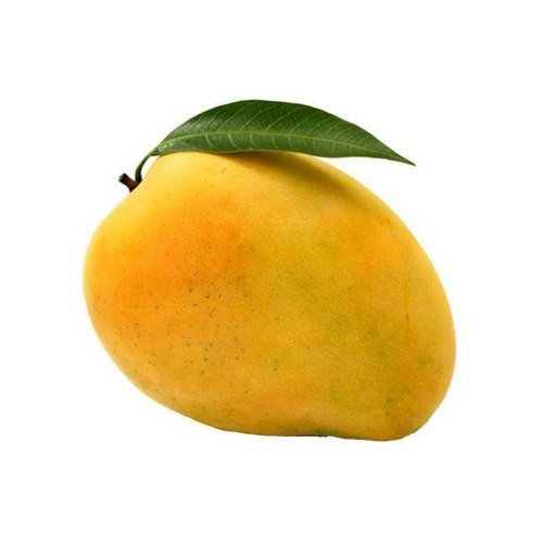 BADAMI (BANGANPALLI) MANGO  9 PCS