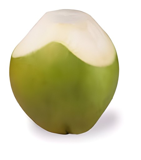 Straw Coconut 1 PCS