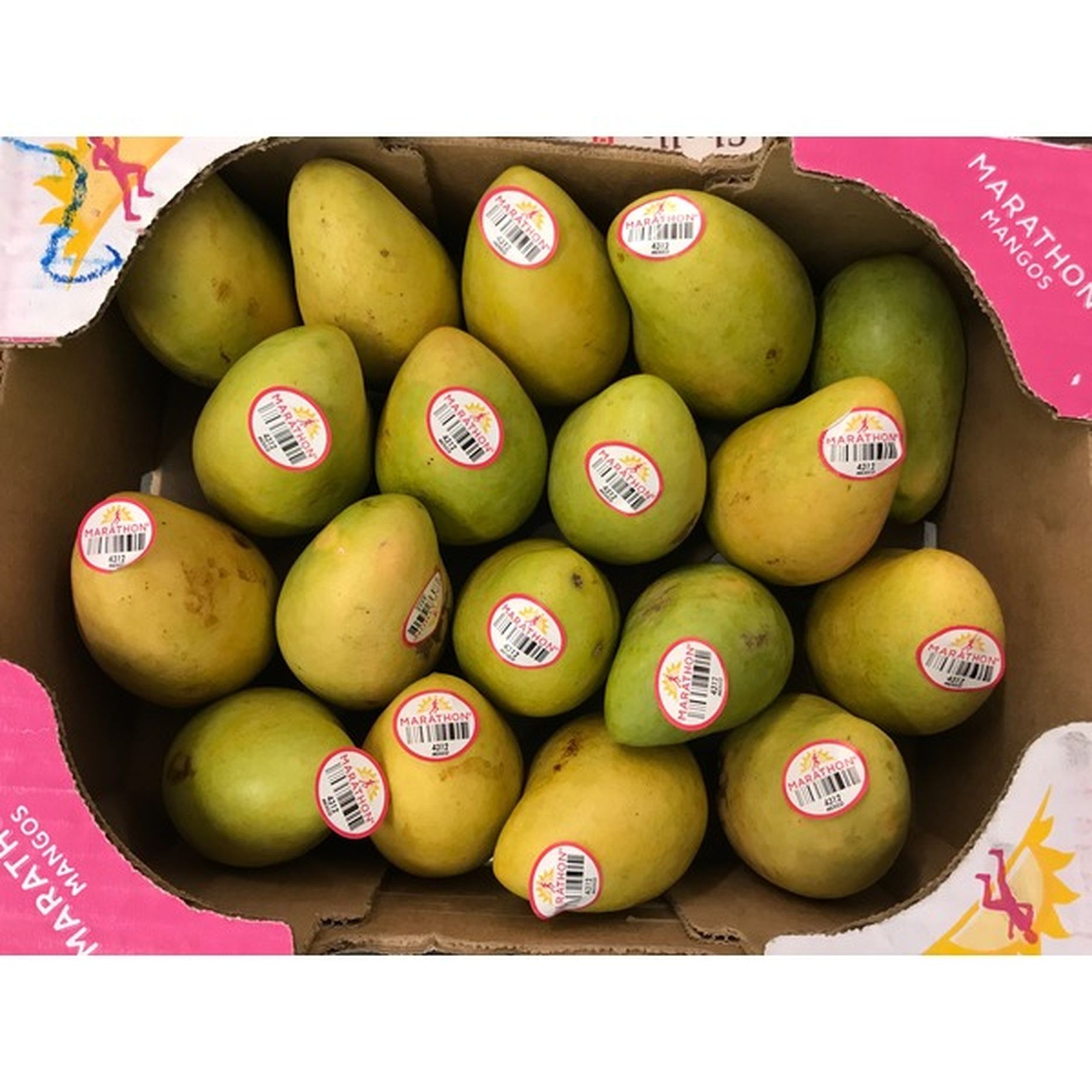 MARATHON MANGO BOX 12 PCS